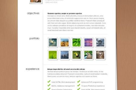 MyResume-Wordpress-Theme