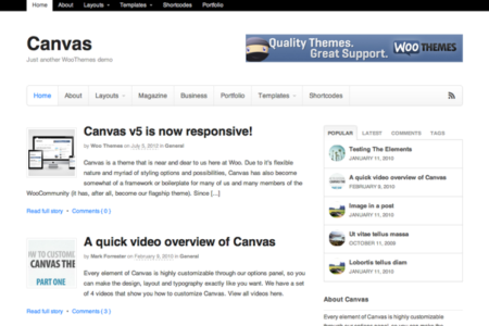 canvas-wordPress-theme