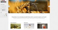 Thème WordPress Chameleon