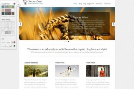 chameleon-wordpress-theme