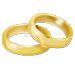 ico-theme-wordpress-mariage