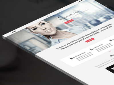 theme-wordpress-twish