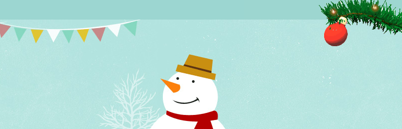 christmas-ball-on-branch-wordpress-plugins