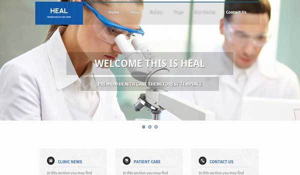 heal-WordPress-Theme