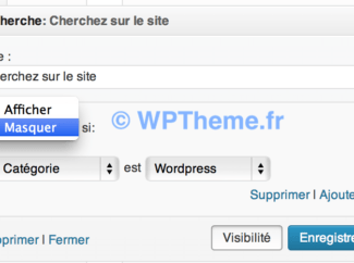 visibilite-widget-2