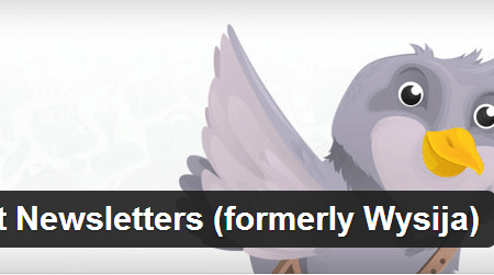plugin-newsletter-wordpress