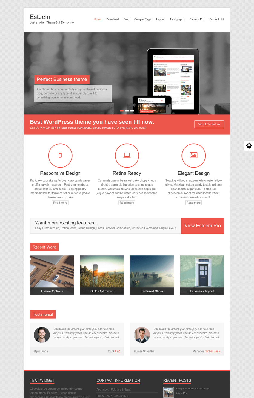 esteem-wordpress-theme