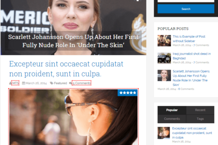 schema-wordpress-theme-1