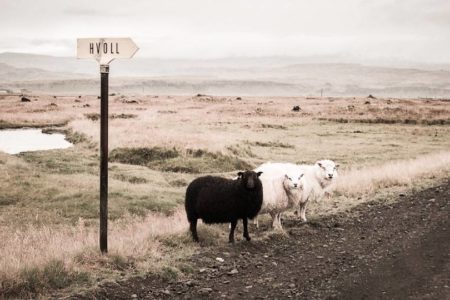 demarquez-vous-wordpress