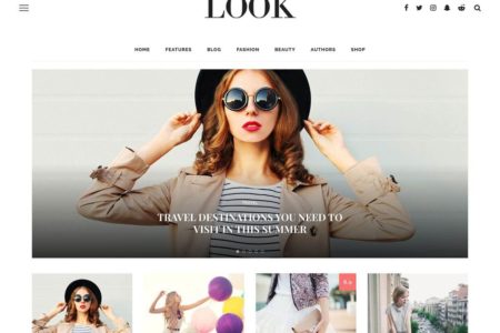 theme-wordpress-look
