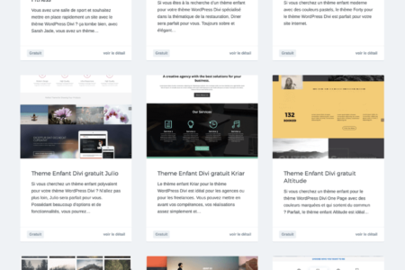 divi-market-rendu