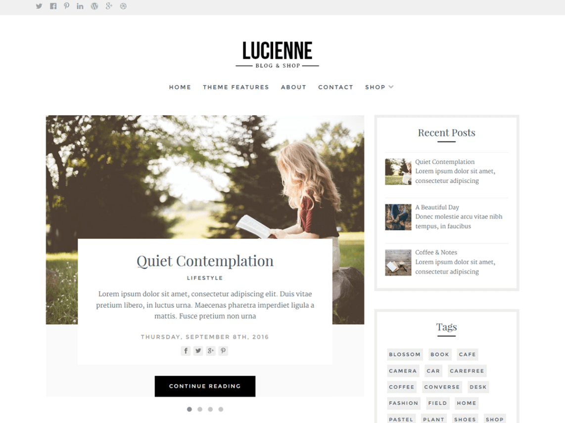 theme-wp-gratuit-lucienne