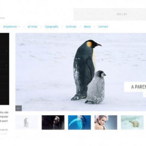 oxygen-wordpress-theme