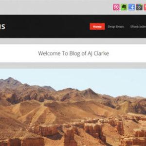 tetris-wordpress-theme