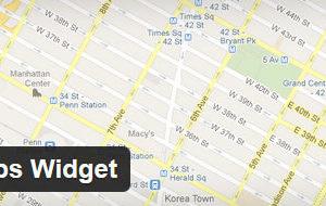 Google-Maps-Widget
