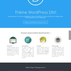 theme-wordpress-divi