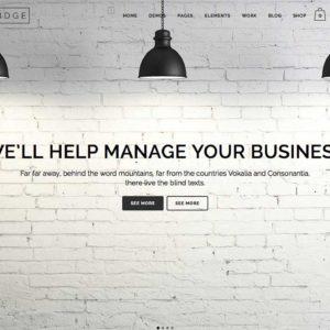 bridge-wordpress-theme