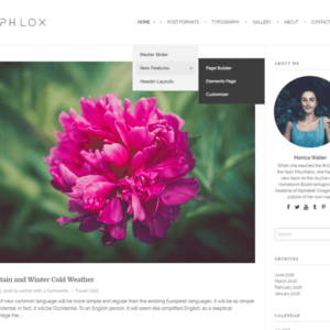 phlox-theme-wordpress-gratuit