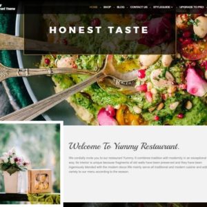 yummy-theme-wordpress-gratuit-aout-2017