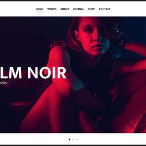 theme-wordpress-timber
